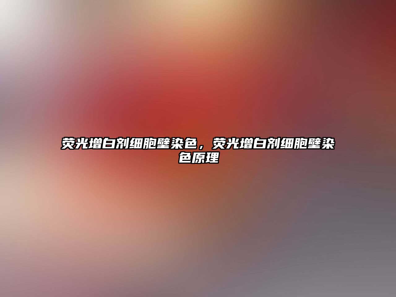 熒光增白劑細胞壁染色，熒光增白劑細胞壁染色原理