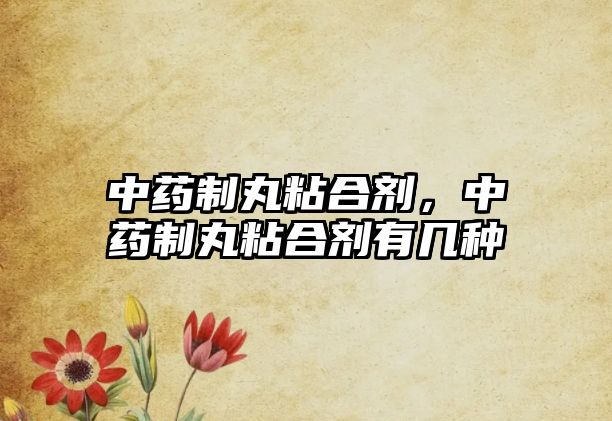 中藥制丸粘合劑，中藥制丸粘合劑有幾種