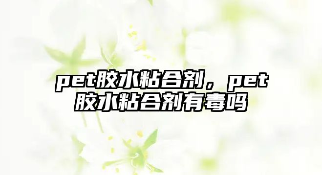 pet膠水粘合劑，pet膠水粘合劑有毒嗎