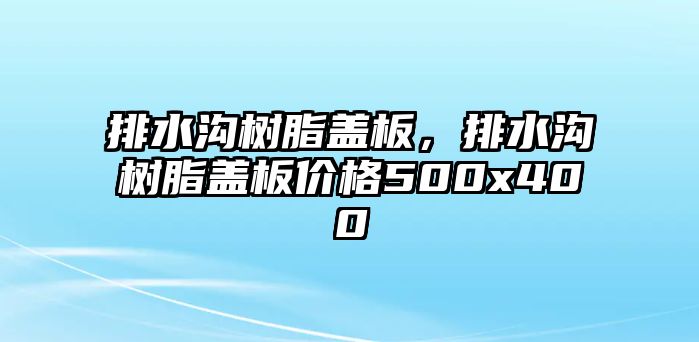 排水溝樹(shù)脂蓋板，排水溝樹(shù)脂蓋板價(jià)格500x400