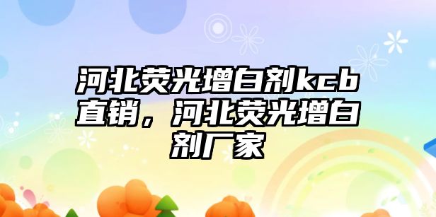 河北熒光增白劑kcb直銷(xiāo)，河北熒光增白劑廠(chǎng)家