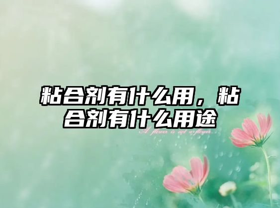 粘合劑有什么用，粘合劑有什么用途