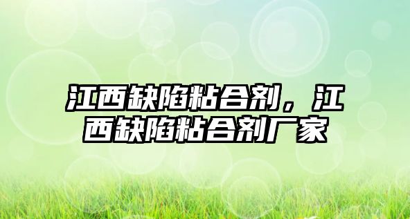 江西缺陷粘合劑，江西缺陷粘合劑廠(chǎng)家