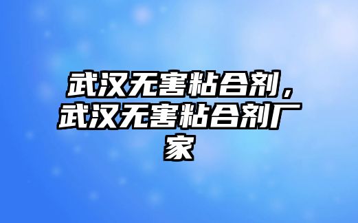 武漢無(wú)害粘合劑，武漢無(wú)害粘合劑廠(chǎng)家