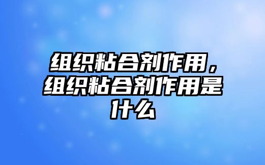 組織粘合劑作用，組織粘合劑作用是什么