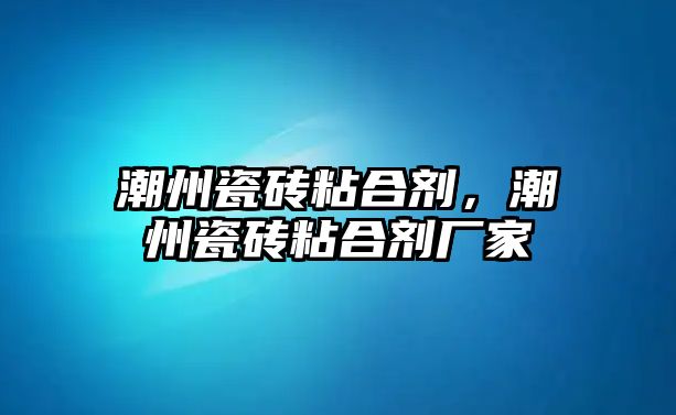 潮州瓷磚粘合劑，潮州瓷磚粘合劑廠(chǎng)家