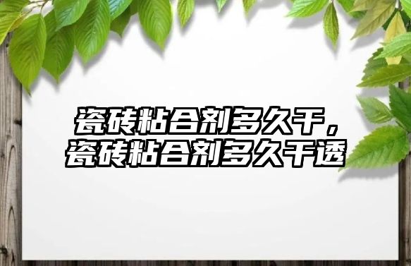 瓷磚粘合劑多久干，瓷磚粘合劑多久干透