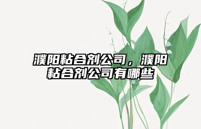 濮陽(yáng)粘合劑公司，濮陽(yáng)粘合劑公司有哪些