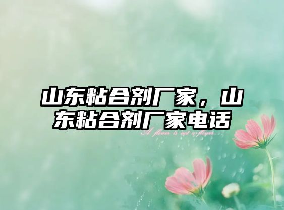 山東粘合劑廠(chǎng)家，山東粘合劑廠(chǎng)家電話(huà)