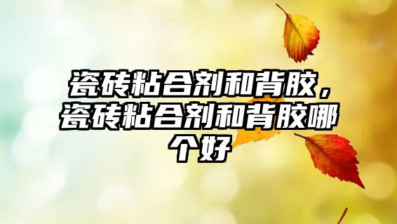 瓷磚粘合劑和背膠，瓷磚粘合劑和背膠哪個(gè)好