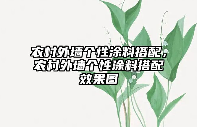 農村外墻個(gè)性涂料搭配，農村外墻個(gè)性涂料搭配效果圖