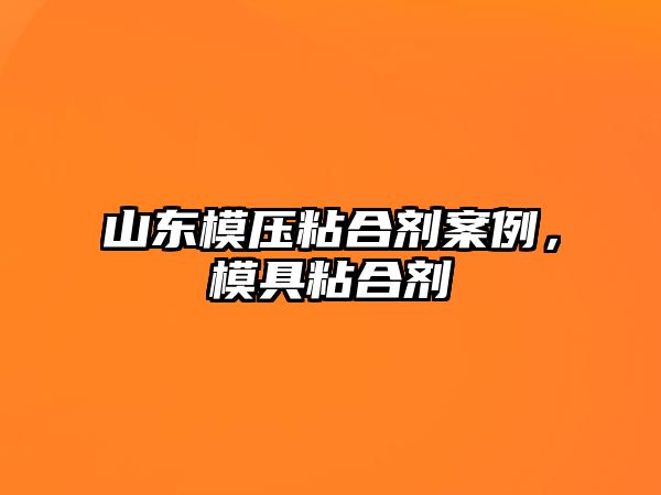 山東模壓粘合劑案例，模具粘合劑