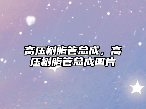 高壓樹(shù)脂管總成，高壓樹(shù)脂管總成圖片