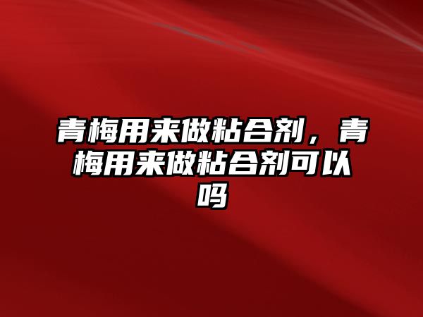 青梅用來(lái)做粘合劑，青梅用來(lái)做粘合劑可以嗎