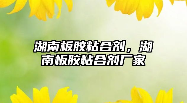 湖南板膠粘合劑，湖南板膠粘合劑廠(chǎng)家