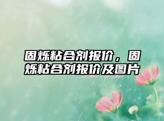 固爍粘合劑報價(jià)，固爍粘合劑報價(jià)及圖片