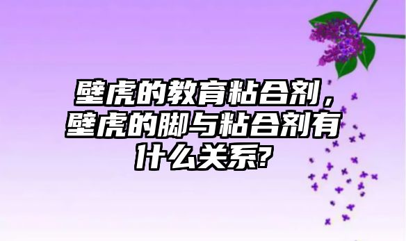 壁虎的教育粘合劑，壁虎的腳與粘合劑有什么關(guān)系?