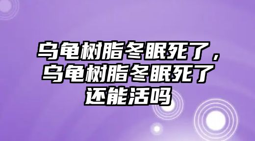 烏龜樹(shù)脂冬眠死了，烏龜樹(shù)脂冬眠死了還能活嗎