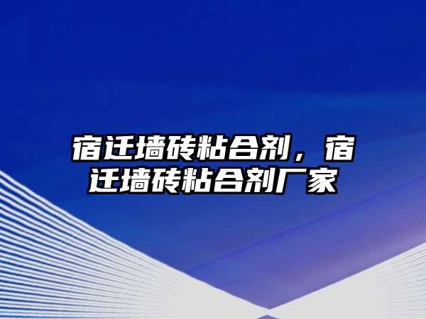 宿遷墻磚粘合劑，宿遷墻磚粘合劑廠(chǎng)家