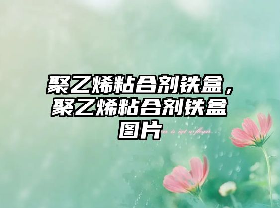 聚乙烯粘合劑鐵盒，聚乙烯粘合劑鐵盒圖片